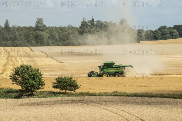 Landscape with threshing of grain with combine harvester at Ystad, Skåne county, Sweden, Scandinavia