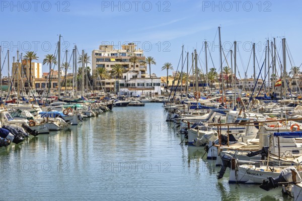 Marina with pleasure boats at a tourist resort with houses by the sea a sunny summer day, Palma de Mallorca, Mallorca, Spain