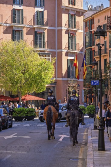 Mounted police on horses on a city street with houses in Palma city with walking tourists on the pavement, Palma de Mallorca, Mallorca, Spain