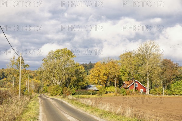 Farm by a gravel road in the countryside on a sunny day with beautiful autumn colors on the trees, Sweden