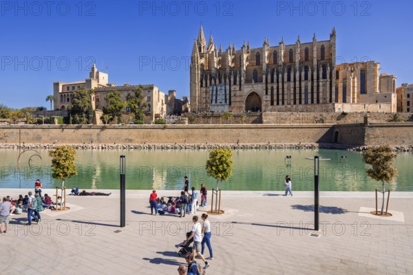 Tourists in a public park by the palma cathedral a sunny summer day, Parc de la mar, Palma de Mallorca, Mallorca, Spain