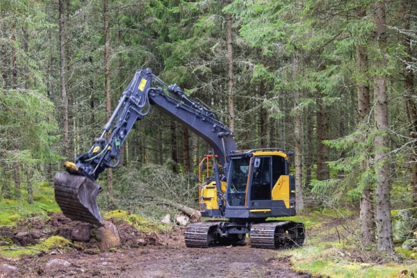 Excavator digging at a road construction site in a coniferous forest