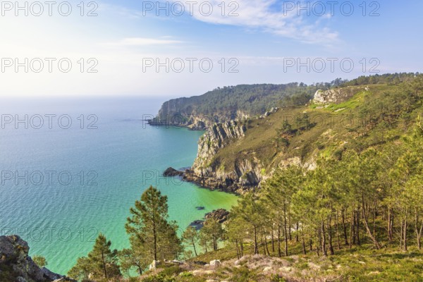 Sea view with the horizon at a rocky coastline with a pine forest a sunny summer day, Crozon peninsula, Bretagne, France
