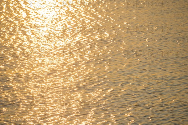 Golden sunlight is reflected by the water surface of the North Sea, natural glow, glow, highlights on small waves, reflection, light reflection, evening light, sunset, atmosphere, atmospheric, illuminated, bright, waters, no people, light, light reflections, light reflection, light reflection, deserted, nobody, reflection, mirror, reflection, mood, atmospheric, harbour, island dune, Heligoland, Schleswig-Holstein, North Sea, Germany