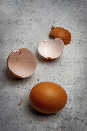 A collection of broken egg shells sits alongside a whole brown egg on a rustic gray surface, showcasing the contrast between the fragile shells and the intact egg