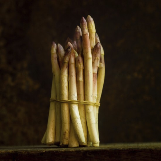 This close up showcases a bundle of fresh asparagus, tightly tied together with a natural twine. The light falls softly, highlighting the green and purple tones against a dark background