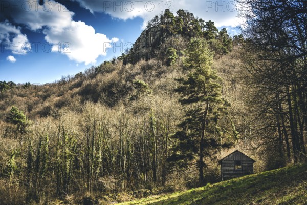 A wooden cabin stands alone in a sunny clearing, surrounded by bare trees and a rocky hill. The sky is clear with soft clouds, highlighting the tranquility of the landscape. Puy de Dome. Auvergne Rhone Alpes. France