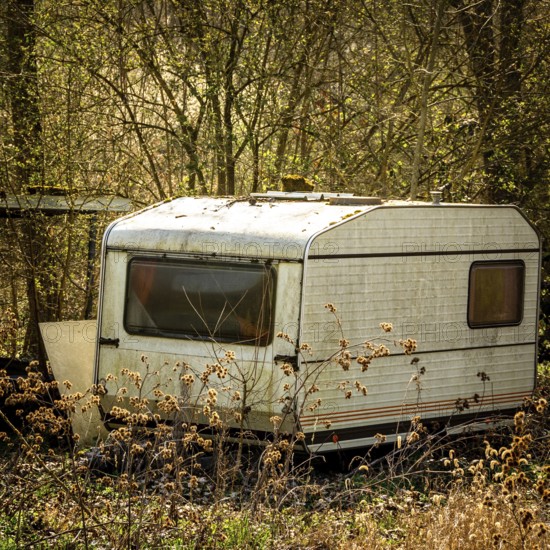 A weathered caravan stands abandoned in a quiet field, partially hidden by tall grass and wild plants. The surrounding trees create a sense of isolation and neglect
