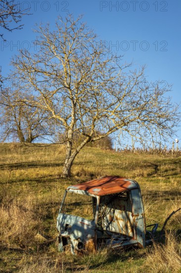 A weathered vehicle rests in a secluded field in Auvergne-Rhone-Alpes, France. Surrounded by tall grass, trees, and a clear blue sky, it reflects the passage of time and nature's reclaiming
