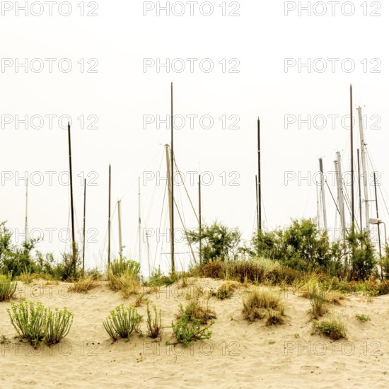 Masts rise above sandy dunes, surrounded by sparse vegetation, hinting at the presence of numerous boats anchored along a beach in the South of France on an overcast day