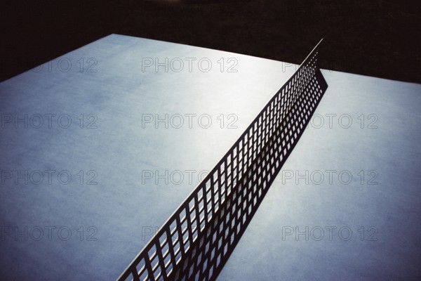 A close-up perspective of a ping pong table shows its smooth, reflective surface and a net positioned between two halves. The ambiance suggests a casual recreational space during daylight