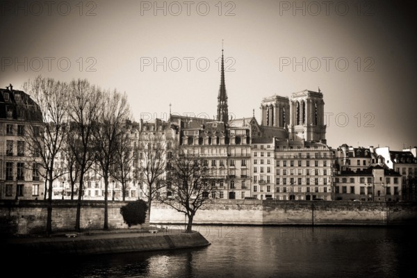 The exterior of Notre Dame Cathedral is prominently displayed along the Seine River in Paris, framed by winter-bare trees and classic buildings. The atmosphere is serene and timeless. France