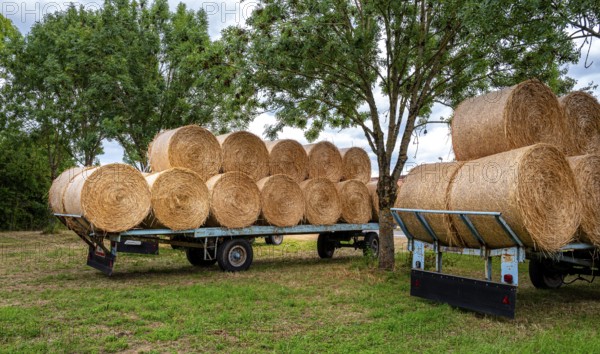 Straw bales on a trailer, agriculture in Hesse, Germany