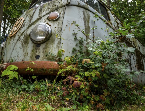 Old, weathered VW bus parked in a wooded area, Hesse, Germany