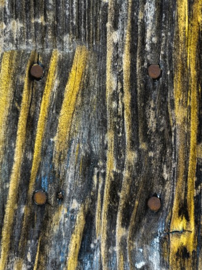 Detailed close-up shows an aged wooden surface featuring unique yellow streaks and rusty nails. The texture reflects natural aging and weathering processes over time