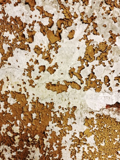 The surface displays an intricate pattern of peeling paint in warm earthy tones, showcasing signs of aging and weathering typical of urban environments
