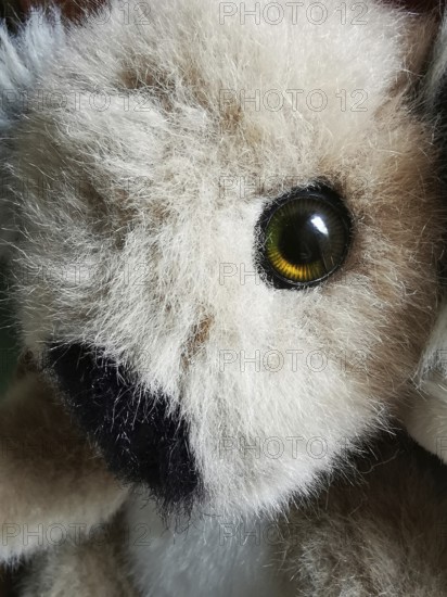 A detailed view of a plush toy reveals its soft, fluffy texture and sparkling eyes. The lighting highlights the intricate features and colors, creating an enchanting appearance