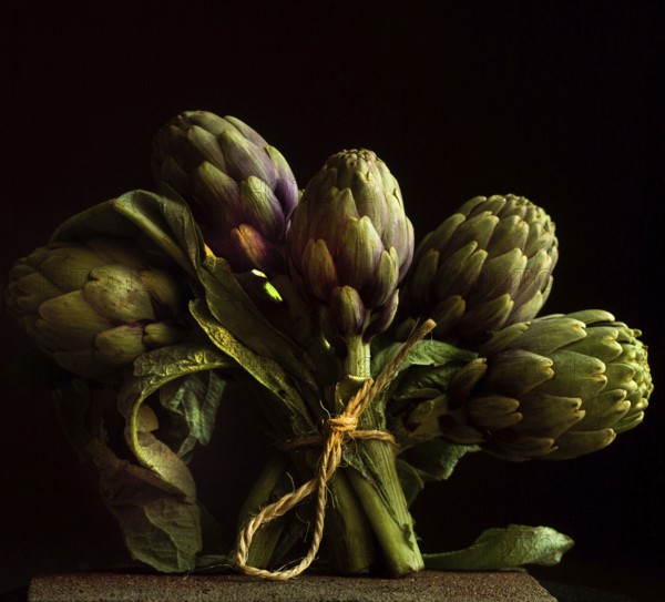 Five artichokes are artistically bundled with twine, resting against a black backdrop that highlights their rich green hues and intricate details, evoking a sense of natural beauty