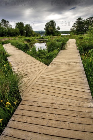 A wooden path stretches through fertile countryside in Auvergne, France, inviting exploration amid vibrant greenery and tranquil waters, all beneath overcast skies