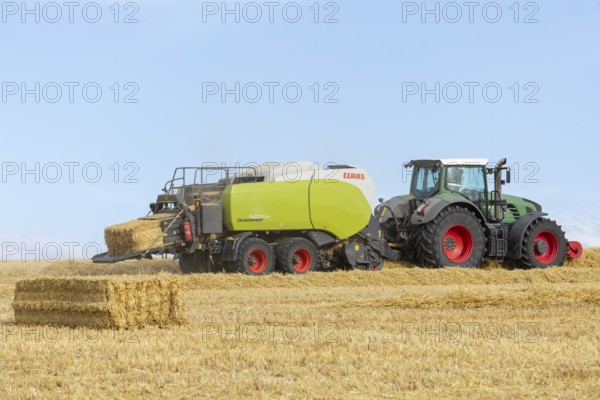 Combine harvester harvesting on a ripe grain field