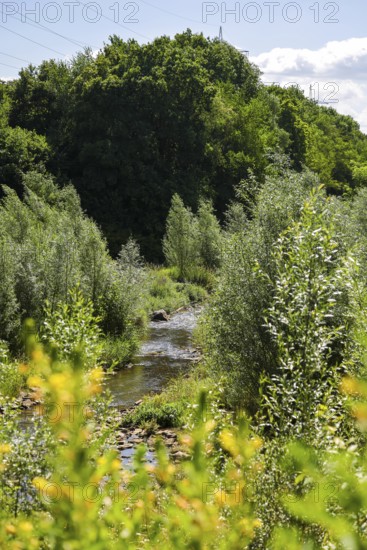 Bottrop, North Rhine-Westphalia, Germany - Renaturalised Boye, the tributary of the Emscher, was transformed into a near-natural watercourse, flood protection through newly designed flooding areas, the Boye is now free of sewage after the construction of a parallel sewer, is part of the Emscher river system and thus part of the Emscher conversion, was previously an open, above-ground wastewater channel, mixed water channel with surface water and wastewater