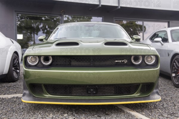 Dodge Challenger for sale at the dealer in Mannheim