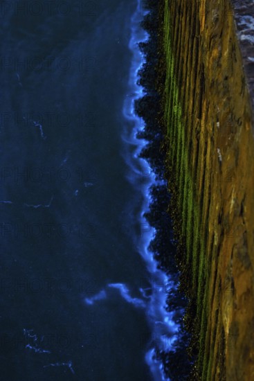 Sea glow, blue glowing waves on sheet pile wall at night, caused by microorganisms, marine luminescence (Noctiluca scintillans, Noctiluca miliaris), dinoflagellate, Noctilucaceae, light phenomenon, sea, bioluminescence, phenomenon, mystical, natural spectacle, mysterious, dramatic, amazing, algae, algae, night, night shot, summer, long exposure, experience, nature experience, natural phenomenon, fascinating, harbour of the island dune, Hegoland, Schleswig-Holstein, North Sea, Germany