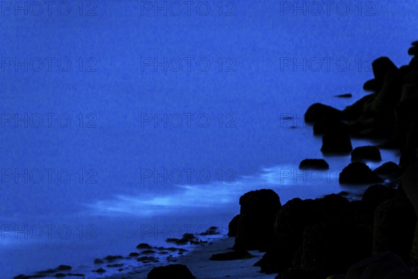 Sea glow, caused by microorganisms, marine luminescent organisms (Noctiluca scintillans, Noctiluca miliaris), blue glowing waves at night, groyne, tetrapods and sandy beach, dinoflagellate, Noctilucaceae, light phenomenon, sea, bioluminescence, phenomenon, mystical blue, natural spectacle, mysterious, algae, seaweed, night, night shot, summer, long exposure, experience, nature experience, natural phenomenon, fascinating, island dune, Hegoland, Schleswig-Holstein, North Sea, Germany