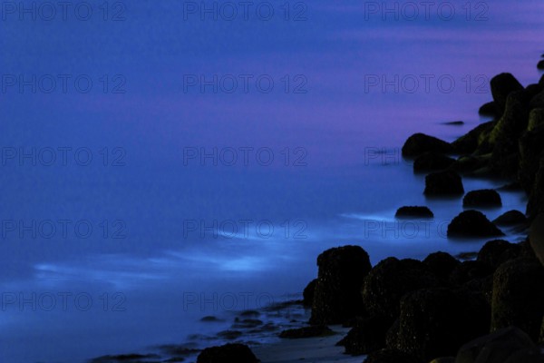 Sea glow, caused by microorganisms, marine luminescence (Noctiluca scintillans, Noctiluca miliaris), blue glowing waves at night, groyne, tetrapod, dinoflagellate, Noctilucaceae, light phenomenon, sea, bioluminescence, phenomenon, mystical transition from blue to violet, natural spectacle, mysterious, algae, algae, night, night shot, summer, long exposure, experience, nature experience, natural phenomenon, fascinating, island dune, Hegoland, Schleswig-Holstein, North Sea, Germany