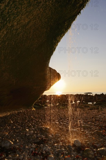 Waterfall on the cliffs backlit at sunset, Etretat, Alabaster Coast, Seine-Maritime, Upper Normandy, France