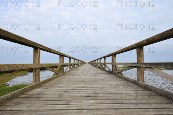 Wooden walkway in the Wadden Sea, Wadden Sea National Park, North Frisia, Schleswig-Holstein, Germany