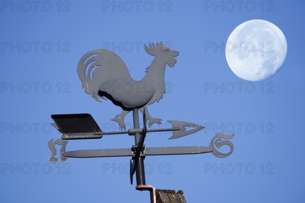 Weathercock or weather vane on house roof with full moon, Lower Saxony, Germany