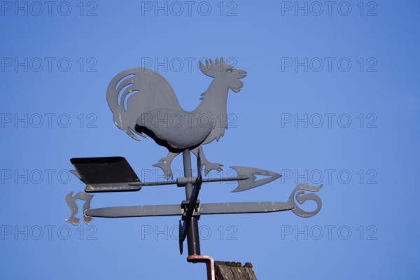 Weathercock or weather vane on house roof, Lower Saxony, Germany