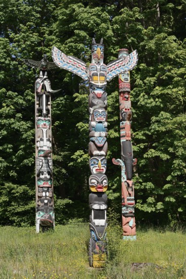 Totem Pole, Kakaso'Las Totem Pole, Stanley Park, Vancouver, British Columbia, Canada