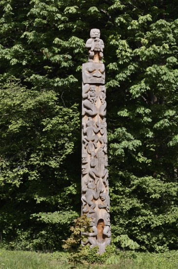 Totem Pole, Beaver Crest Totem Pole, Stanley Park, Vancouver, British Columbia, Canada
