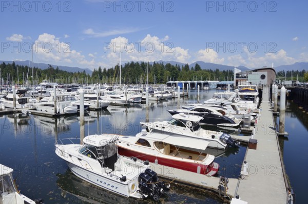 Boats and yachts in the harbour, Coal Harbour, Burrard Inlet, Vancouver, British Columbia, Canada