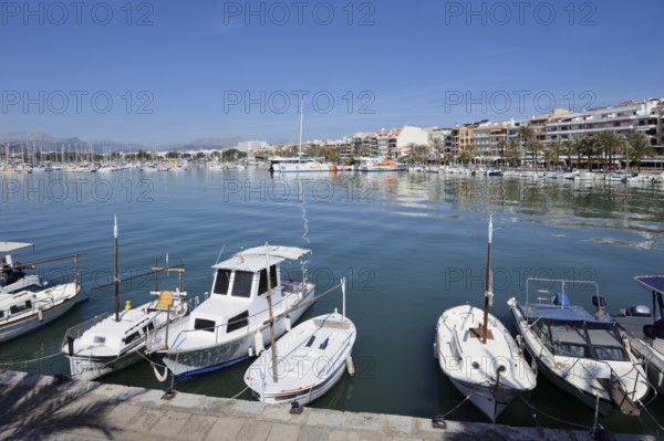 Boats in the harbour, Port d'Alcudia, Majorca, Balearic Islands, Spain