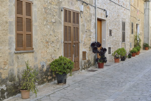 Houses with potted plants in an alley, Petra, Majorca, Balearic Islands, Spain