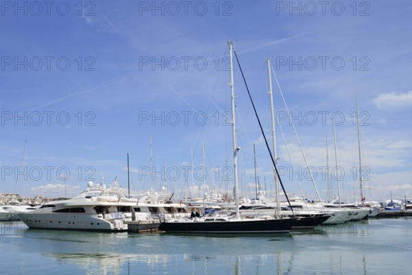 Boats in the harbour, Palma de Majorca, Majorca, Balearic Islands, Spain