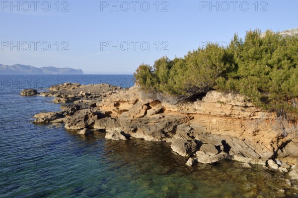 Rocky coast, Platja S'Illot, Majorca, Balearic Islands, Spain