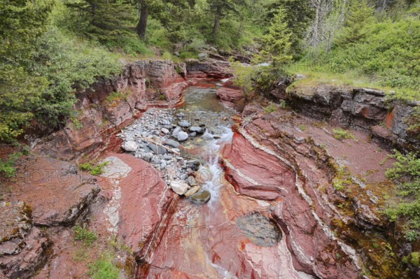 Stream in Red Rock Canyon, Waterton Lakes National Park, Alberta, Canada