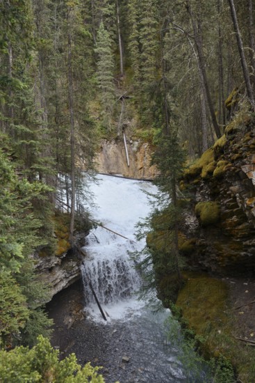 Waterfall, Johnston Canyon, Johnston Creek, Banff National Park, Alberta, Canada