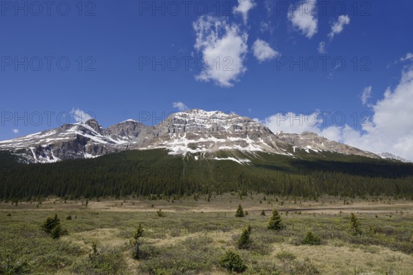 Canadian Rocky Mountains, Icefields Parkway, Banff National Park, Alberta, Canada