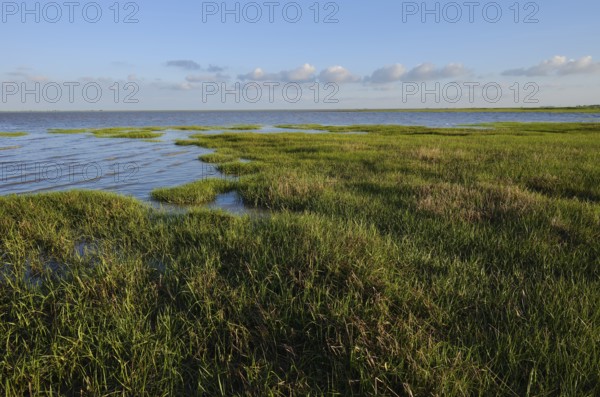 Wadden Sea, Wadden Sea National Park, North Frisia, Schleswig-Holstein, Germany