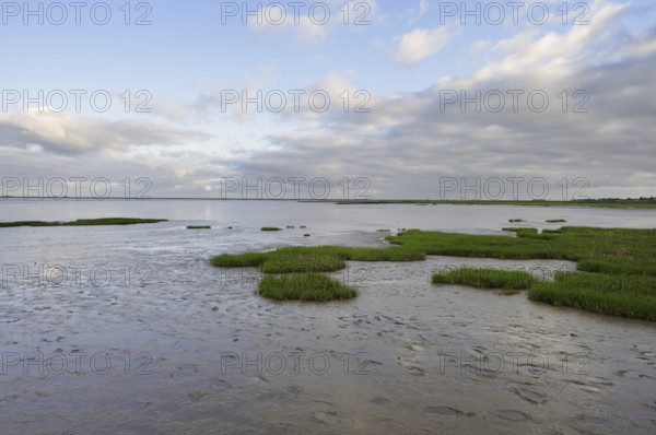 Mudflats at low tide, Wadden Sea National Park, North Frisia, Schleswig-Holstein, Germany