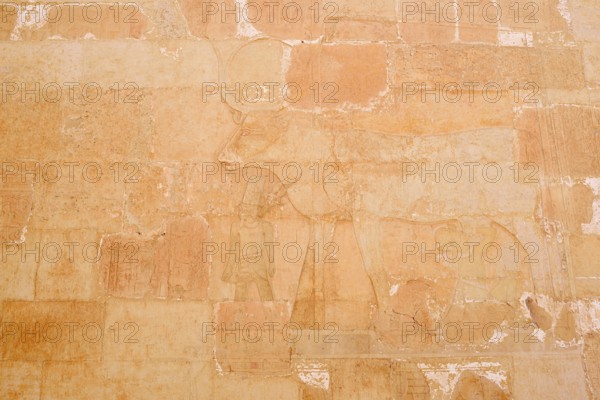 Relief of the Hathor Cow, Temple of Hatshepsut, Mortuary Temple of Hatshepsut, Deir el-Bahari, Thebes, Luxor, Egypt