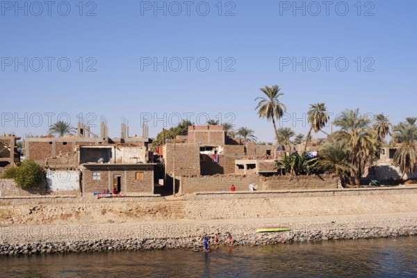 Houses and palm trees on the banks of the Nile, Egypt