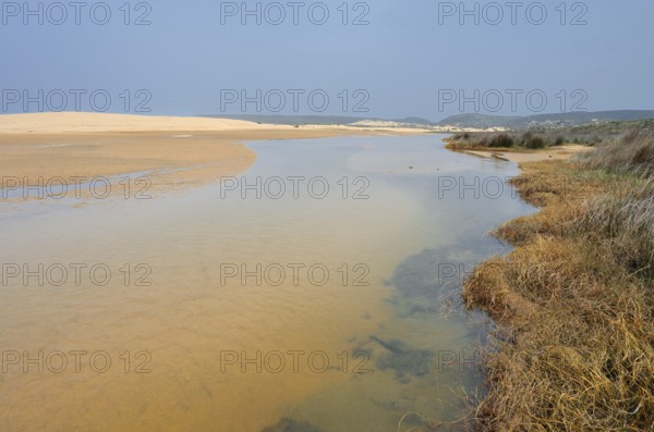 Lagoon at Praia da Bordeira beach, Carrapateira, Parque Natural do Sudoeste Alentejano e Costa Vicentina, Algarve, Portugal