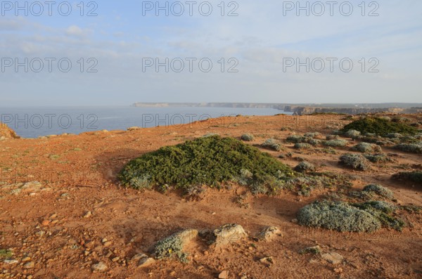 Coastal landscape, Sagres, Algarve, Portugal