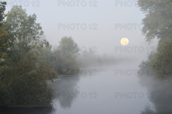 The river Lippe with full moon and morning fog, North Rhine-Westphalia, Germany